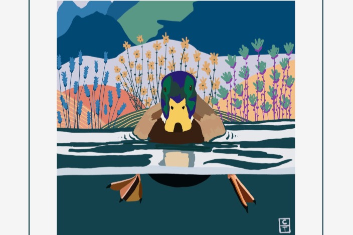 Exposition - Claire TURNER