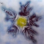 Exposition - Pierre COÏA