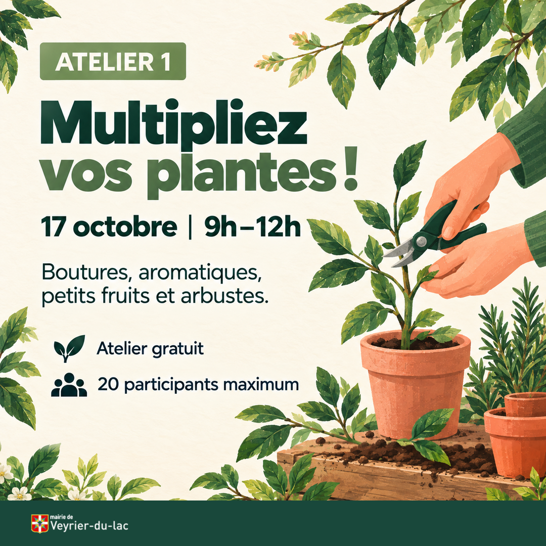 Atelier Nature I Multipliez vos plantes !